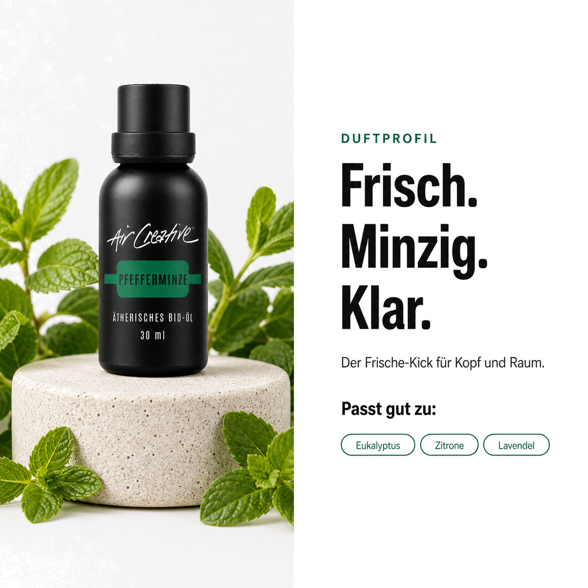 Ätherisches BIO-Öl "Pfefferminze" 30ml von Air Creative – Duftprofil