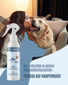 Geruchsneutralisierer Airomex® «Haustier»