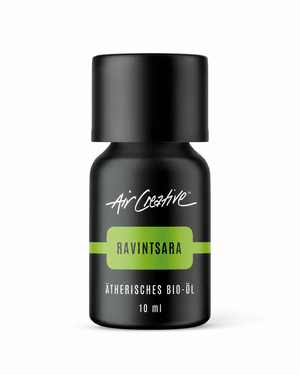 Ätherisches Bio-Öl Ravintsara 10ml