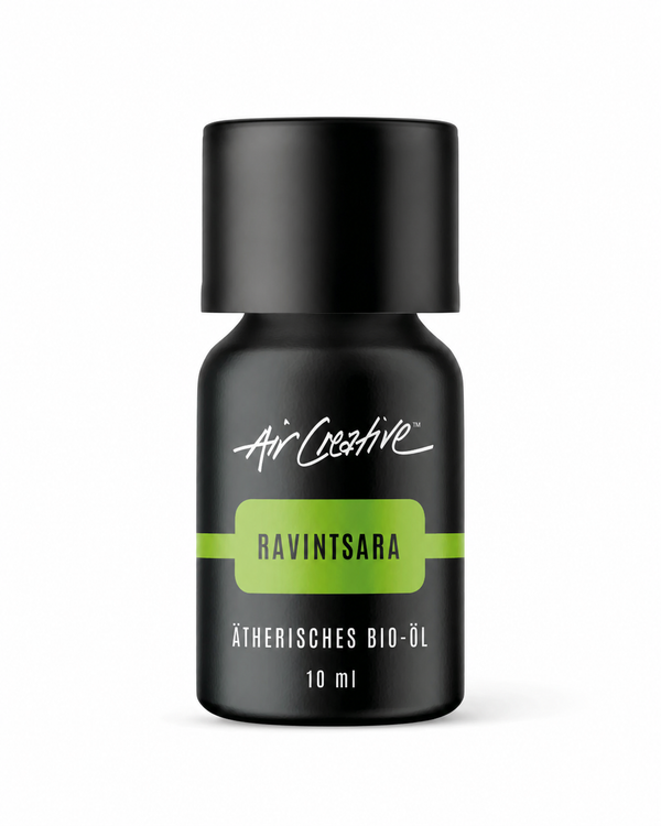 Ätherisches BIO-Öl "Ravintsara"