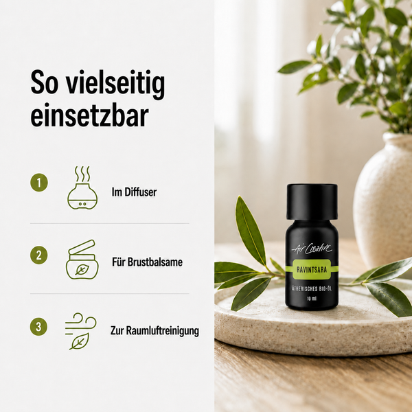 Ätherisches BIO-Öl "Ravintsara"