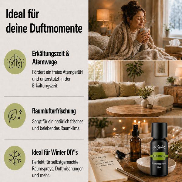 Ätherisches BIO-Öl "Ravintsara"